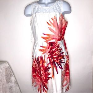 Sandra Darren Dress White Lace‎ & Floral Graphic Size 10 Women's